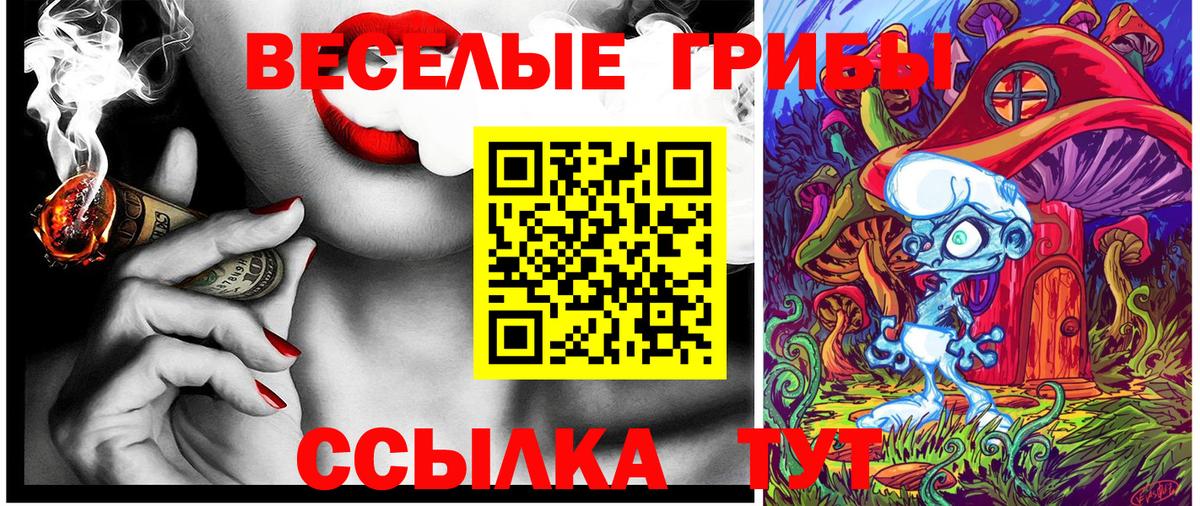 Псилоцибиновые грибы Magic Shrooms  Псилоцибиновые грибы GOLDEN TEACHER  Вход с VPN  Малоярославец 