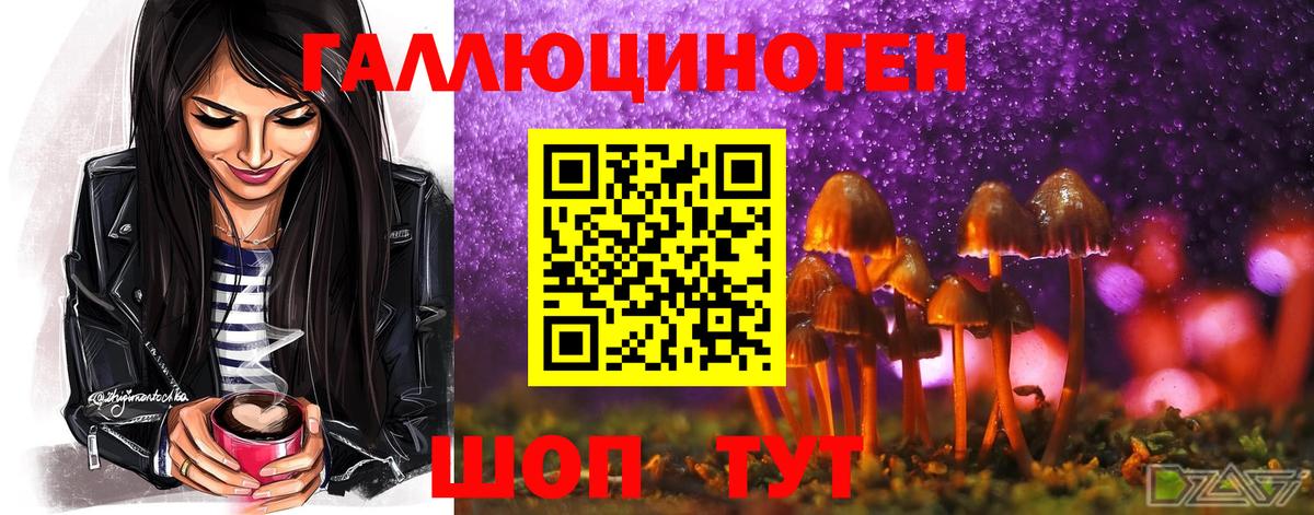 Псилоцибиновые грибы Magic Shrooms Малоярославец